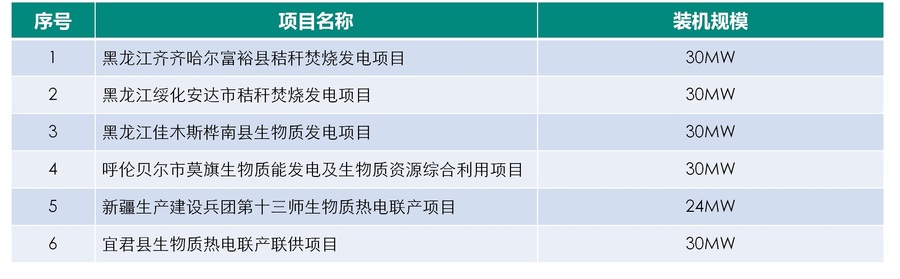 生物质发电项目业绩表.jpg
